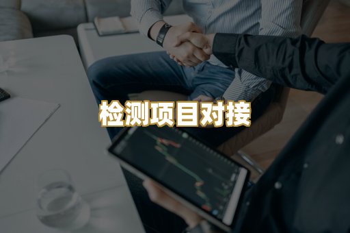 检测项目对接