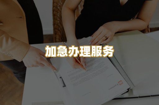 加急办理服务