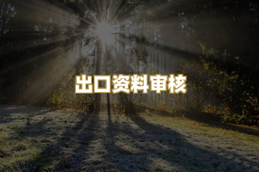 出口资料审核